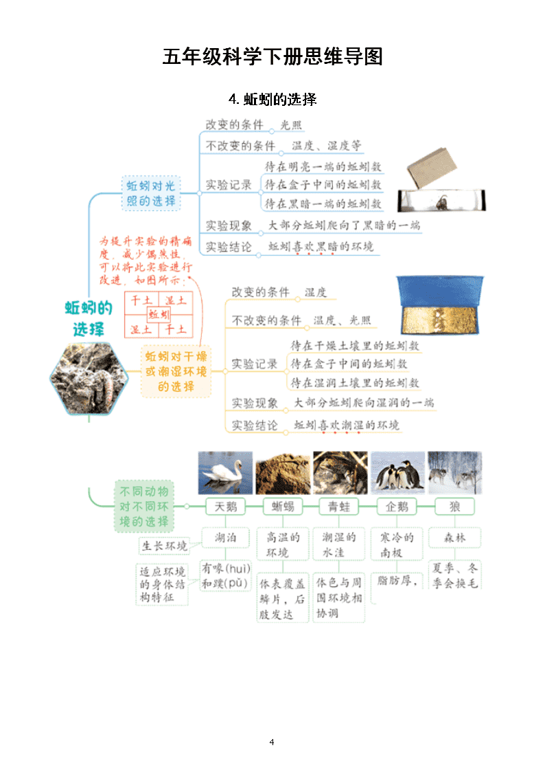 小學科學教科版五年級下冊每課思維導圖15課2022新版